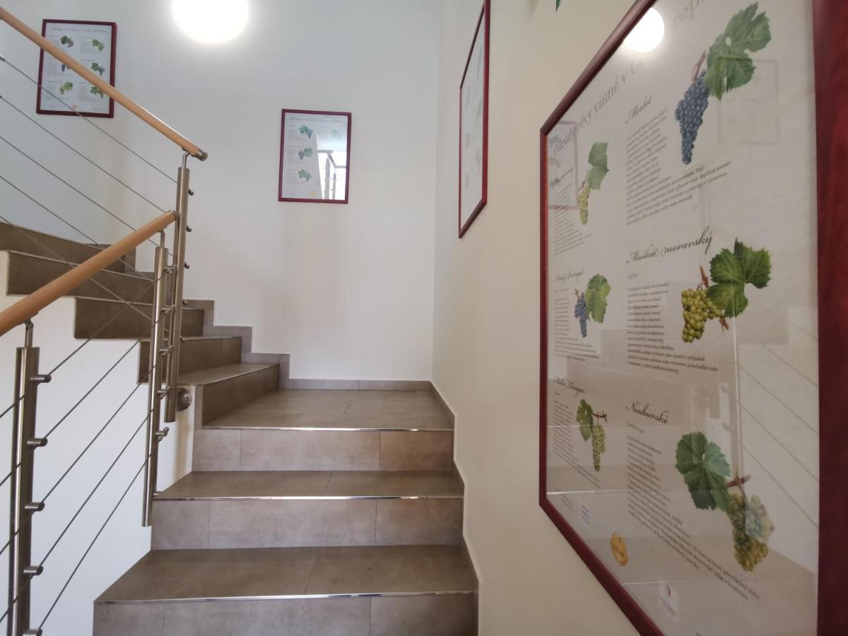 Comenius Moravus vinařský dvůr Mikulov Exteriér fotografie