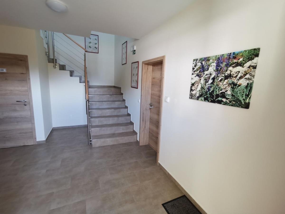 Comenius Moravus vinařský dvůr Mikulov Exteriér fotografie